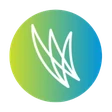 WordFlight logo